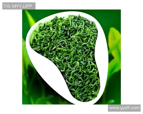 姚明品味绿茶的独特魅力与健康生活方式的完美结合