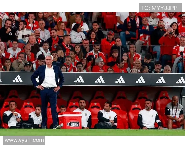 拜仁绝杀本菲卡引发争议判罚全场沸腾友谊赛精彩回顾